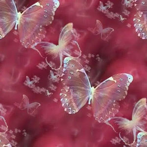 Meet your Posher, Esmeralda